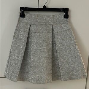 Chic Silver A-Line Women's Skirt